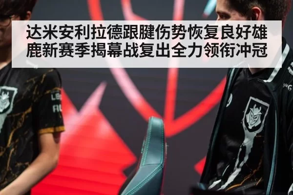 达米安利拉德跟腱伤势恢复良好雄鹿新赛季揭幕战复出全力领衔冲冠